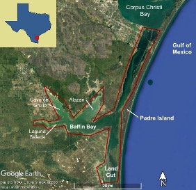 Figure 1. Map of the Upper Laguna Madre showing Baffin Bay and its tertiary bays. The red outline indicates the border of the ULM.